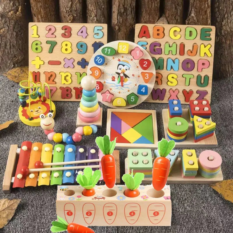 Educational Learning Sensory Wooden Toys